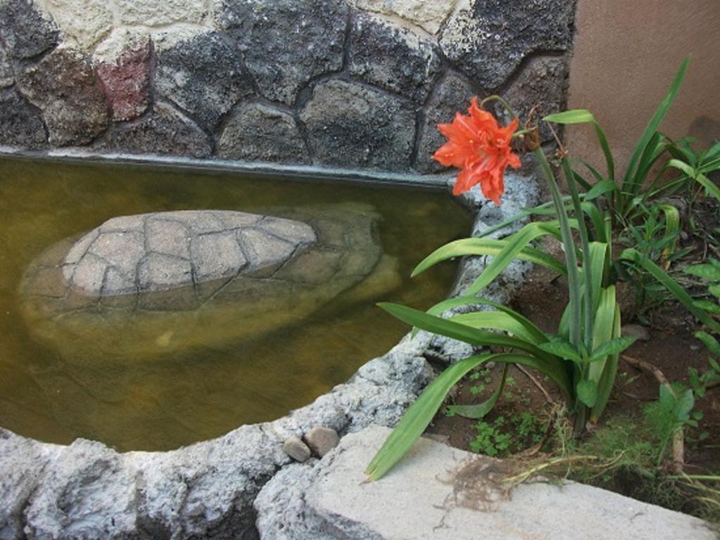 Hotel Bigu Puerto Escondido  Luaran gambar